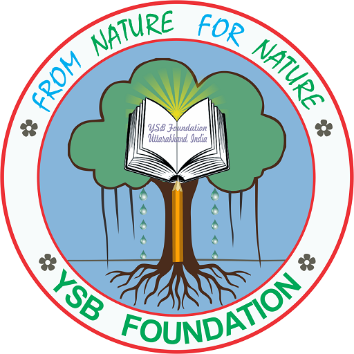 YSB Foundation